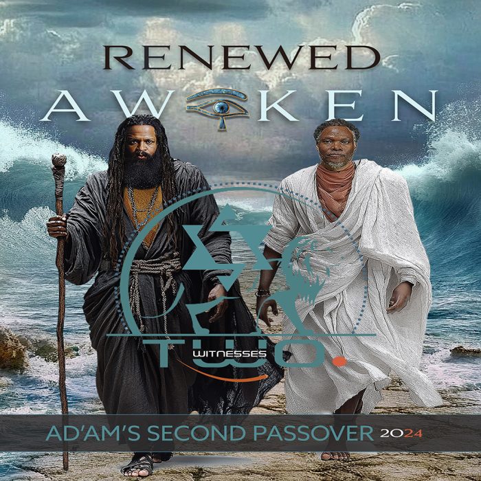Renewed Awaken (Pre-Orders Only)